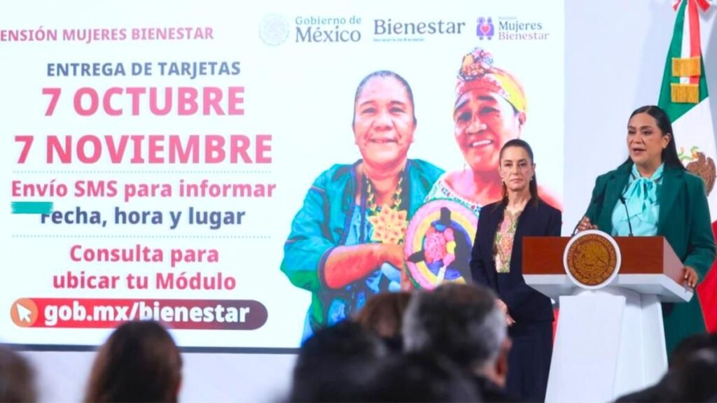 Rebajas de diciembre tiendas que aceptan Tarjeta Bienestar para compras online