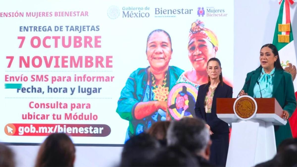 Rebajas de diciembre tiendas que aceptan Tarjeta Bienestar para compras online